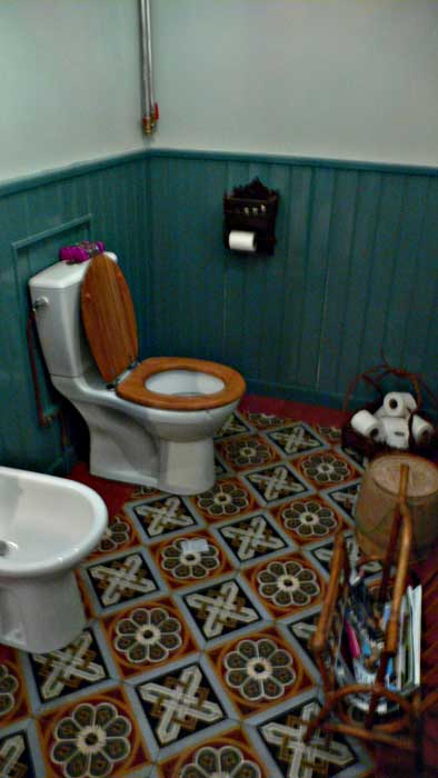 20080218-toiletfloor.jpg